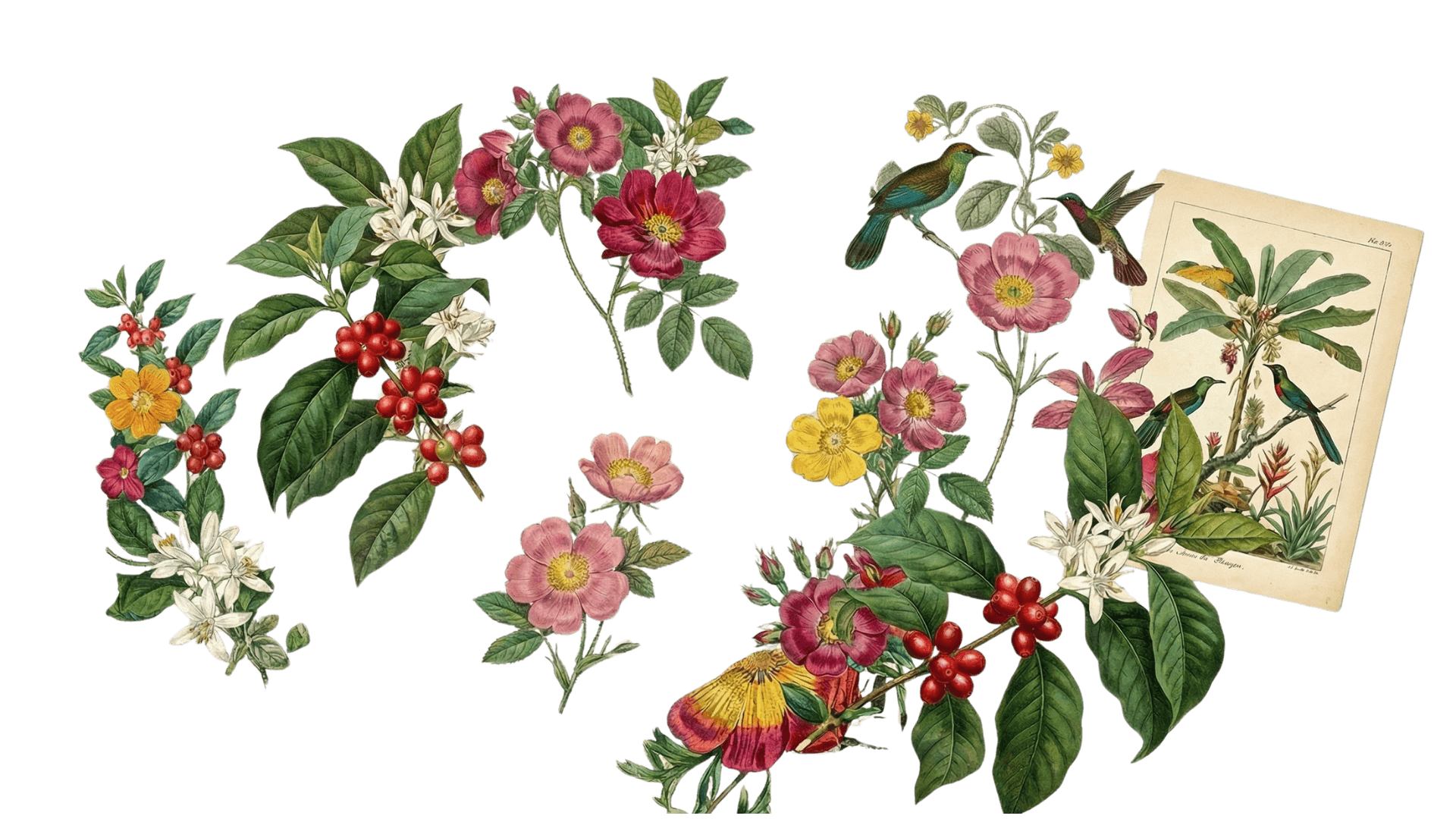 Maximalist graphic collage